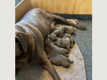 Image 1 of 6