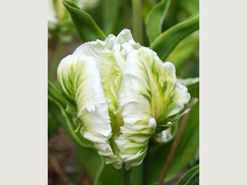 Image 1 of 14