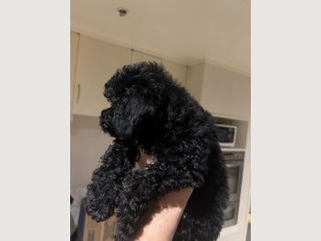 Image 1 of 10