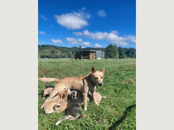 Image 1 of 8