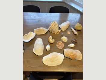 Image 1 of 7
