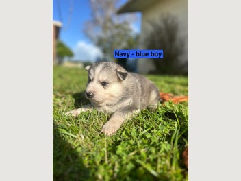 Image 1 of 20