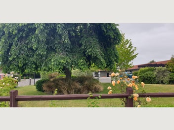 Image 1 of 9