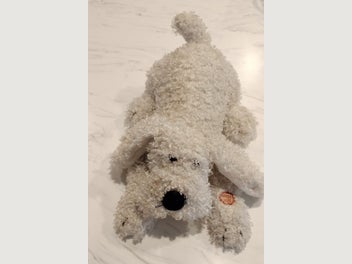Image 1 of 8
