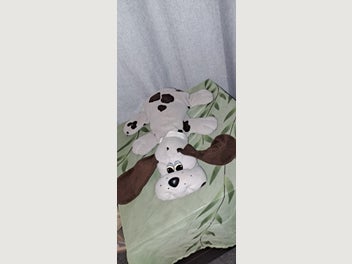 Image 1 of 9