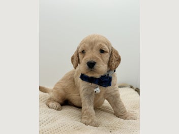 Image 1 of 7