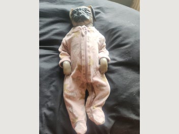Image 1 of 4