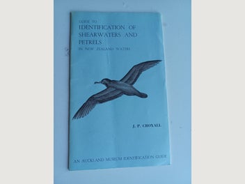 Image 1 of 11