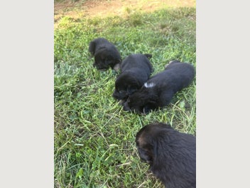 Image 1 of 14