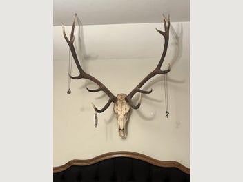 Image 1 of 2