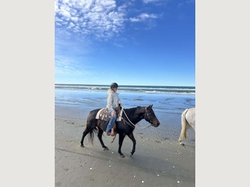 Image 1 of 14