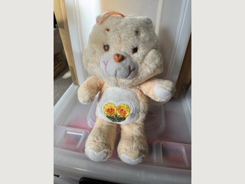 Image 1 of 5