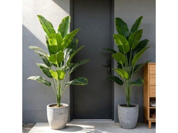 Image 1 of 8