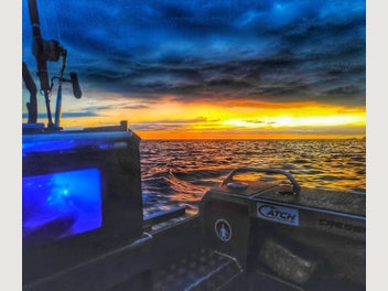 Image 1 of 20