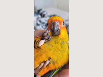 Image 1 of 4