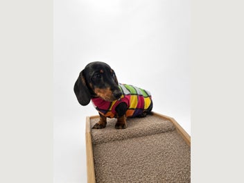 Image 1 of 8