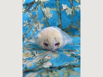 Image 1 of 5
