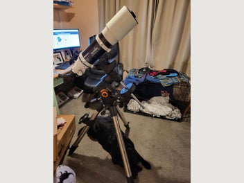 Image 1 of 11