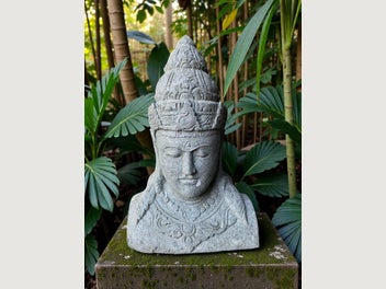 Image 1 of 8
