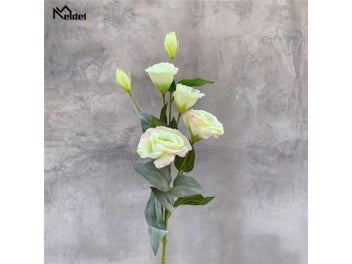 Image 1 of 9