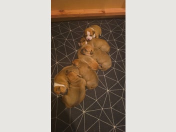 Image 1 of 8