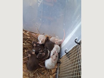 Image 1 of 7