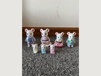 Image 1 of 15