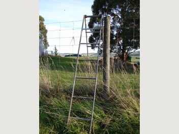 Image 1 of 5