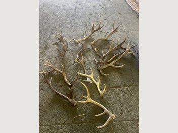 Image 1 of 8