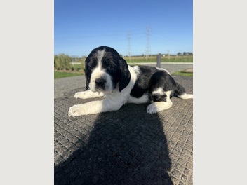 Image 1 of 19