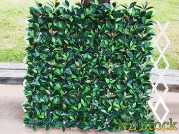 Image 1 of 10
