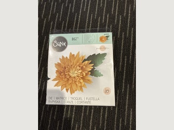 Image 1 of 1