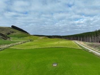Image 1 of 15