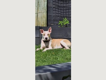 Image 1 of 16