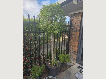 Image 1 of 1