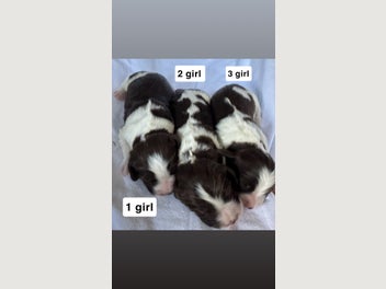 Image 1 of 11