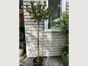 Image 1 of 8