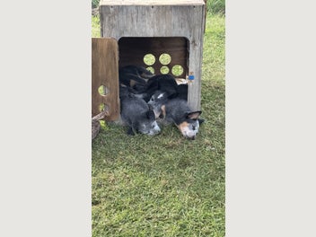 Image 1 of 12