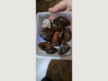 Image 1 of 10