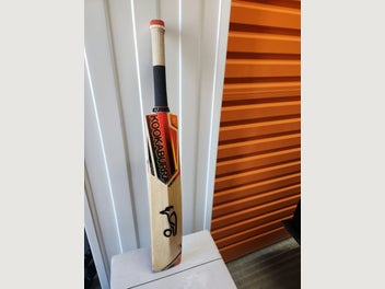 Image 1 of 8