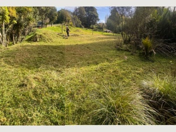 Image 1 of 20