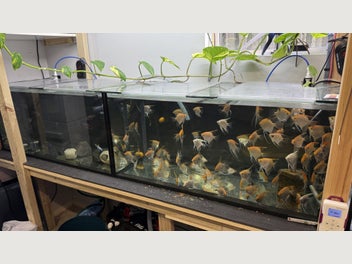 Image 1 of 8
