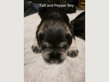 Image 1 of 13