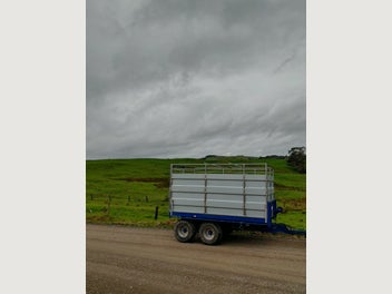 Image 1 of 10