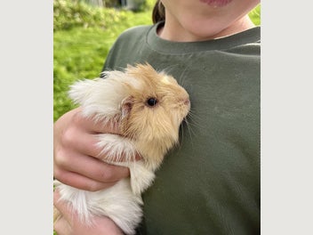Image 1 of 14