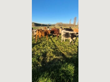 Image 1 of 10