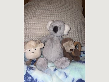 Image 1 of 8