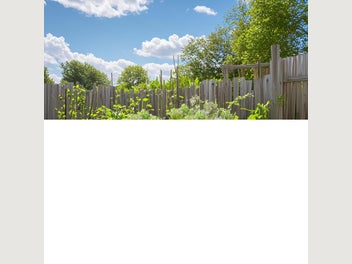 Image 1 of 15