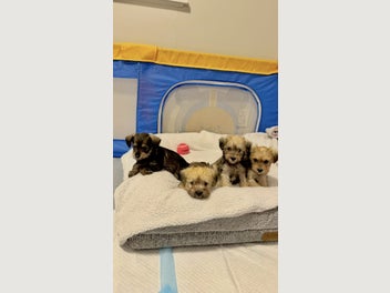 Image 1 of 19