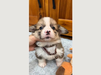 Image 1 of 10